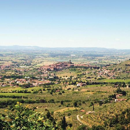 Il Marinocchio Di Malatesti Arezzo Eksteriør billede
