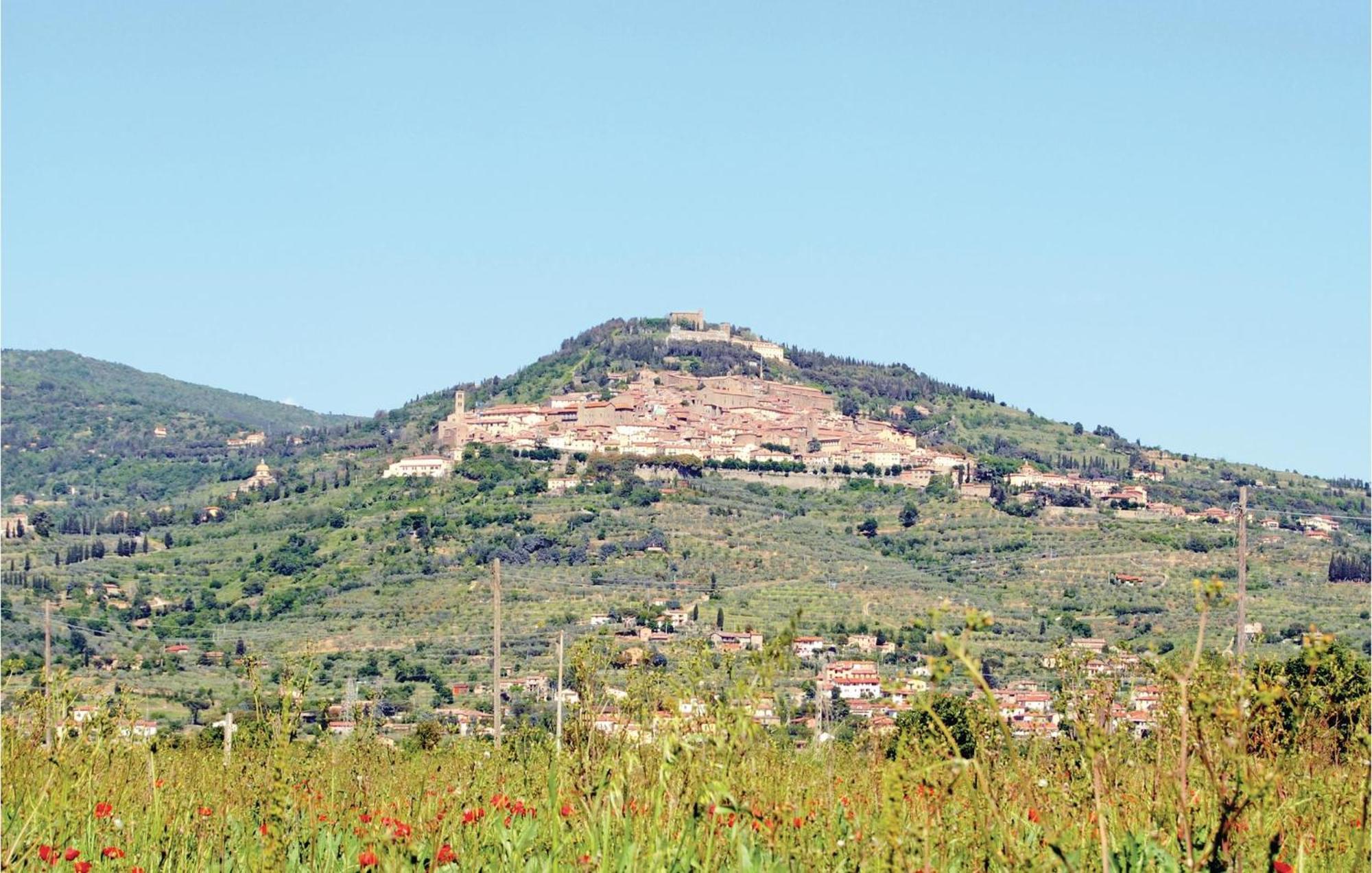 Il Marinocchio Di Malatesti Arezzo Eksteriør billede